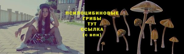 ГАЛЛЮЦИНОГЕННЫЕ ГРИБЫ Наволоки