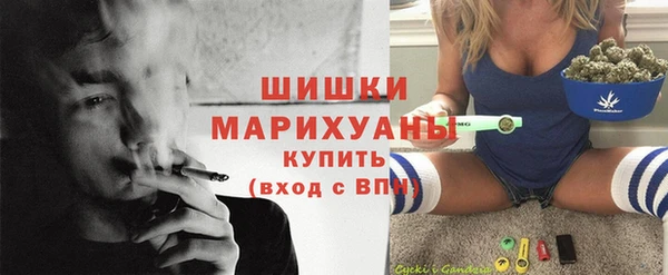 ГАЛЛЮЦИНОГЕННЫЕ ГРИБЫ Наволоки