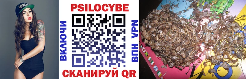 площадка формула  Мостовской  Псилоцибиновые грибы Cubensis 